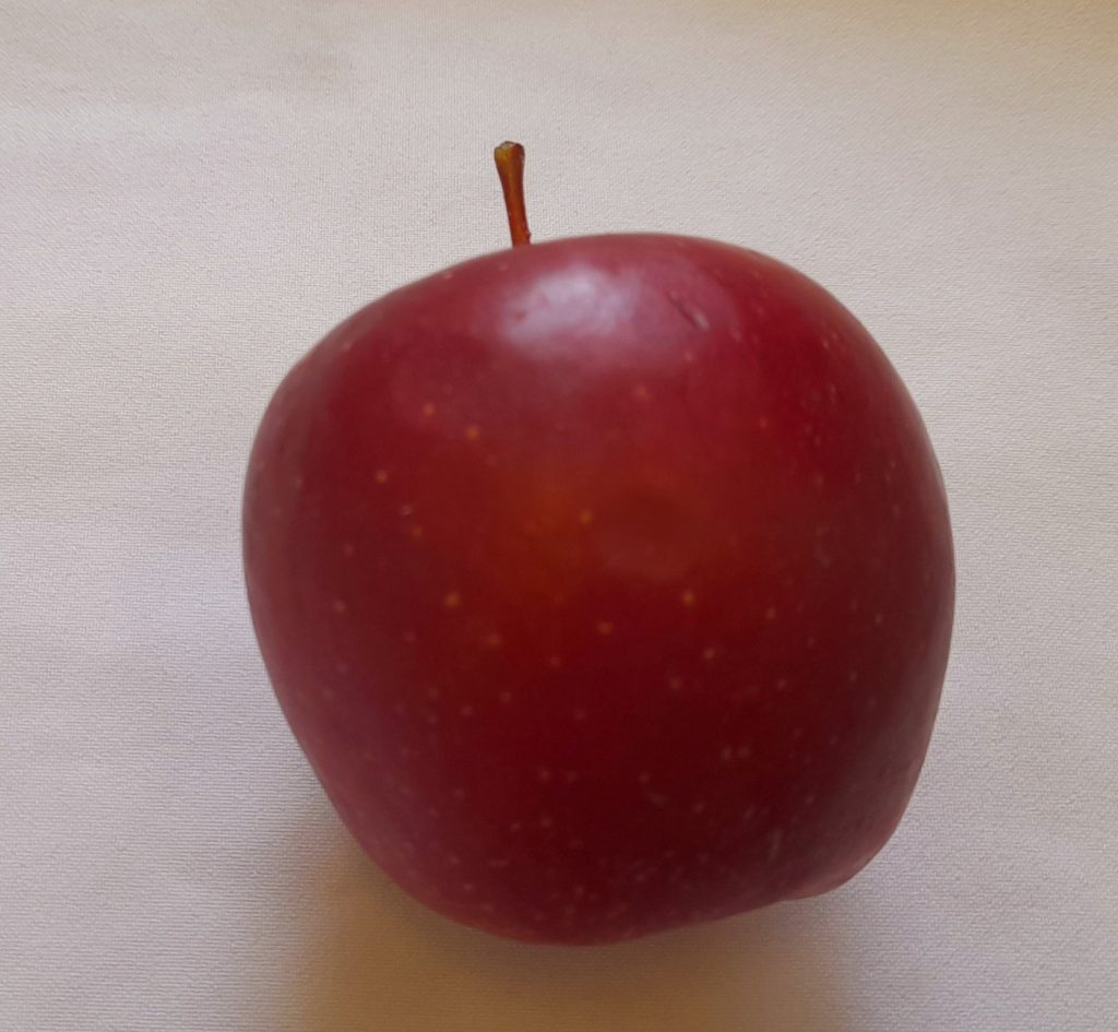 druga kolacja-09-06,2025